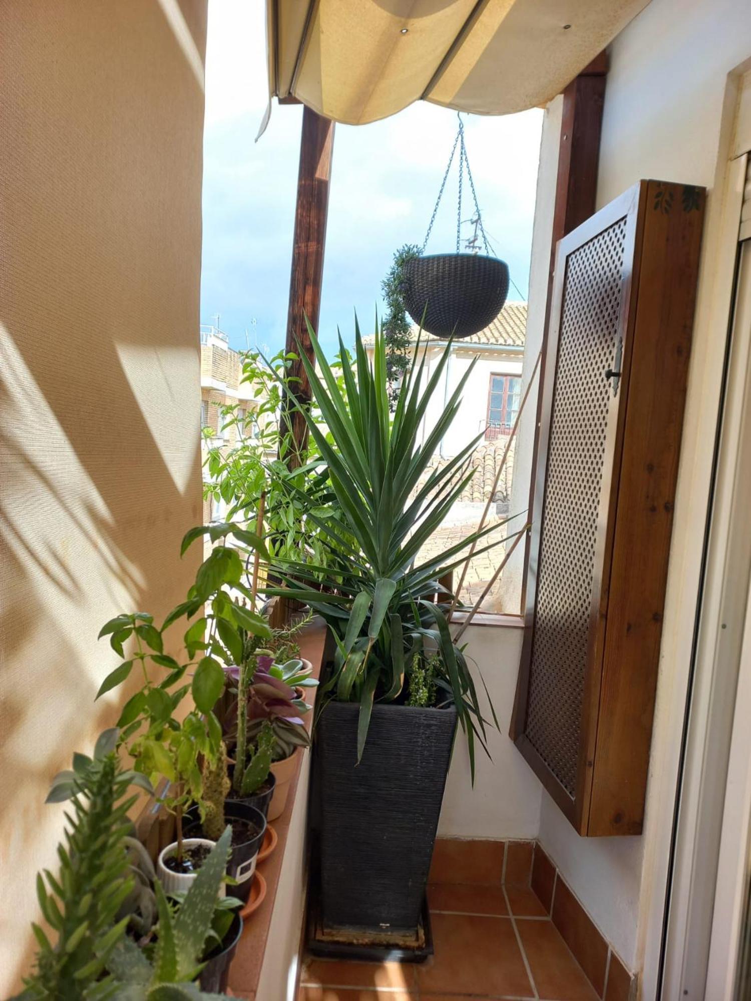 Appartement Atico Exclusivo En El Centro De Grenade Extérieur photo
