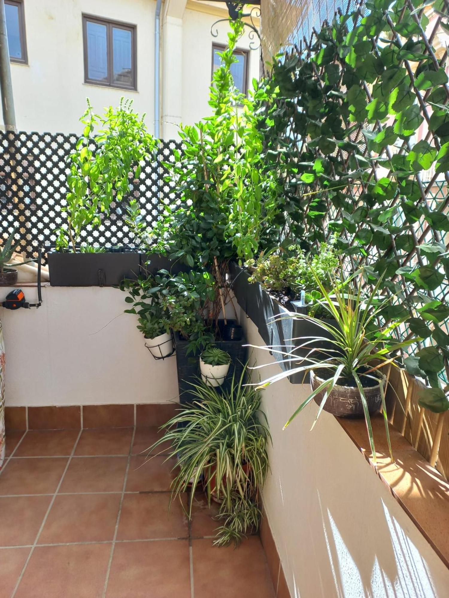 Appartement Atico Exclusivo En El Centro De Grenade Extérieur photo